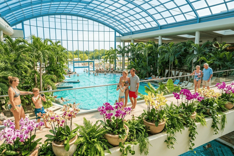 Therme Bucharest | Official Admission Ticket All Day - Galaxy+Palm+Elysium Area - Access Ticket
