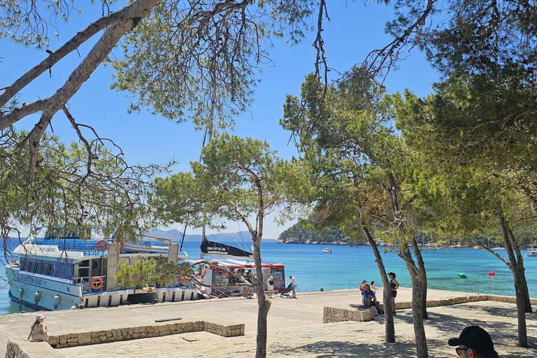 Mallorca: Scenic Formentor Tour by Bus & Boat Pick up in Playa de Muro