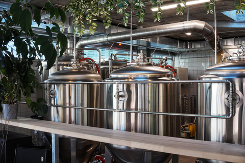 Luzern: Besuch einer Mikrobrauerei inkl. Degustation