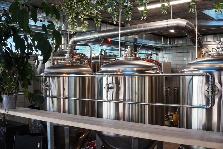 Luzern: Besuch einer Mikrobrauerei inkl. Degustation