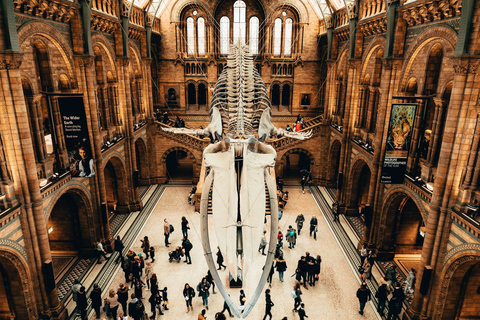 Londres: Museo de Historia Natural Franja horaria de entrada y audioguíaTicket de entrada con guía portuguesa en la aplicación