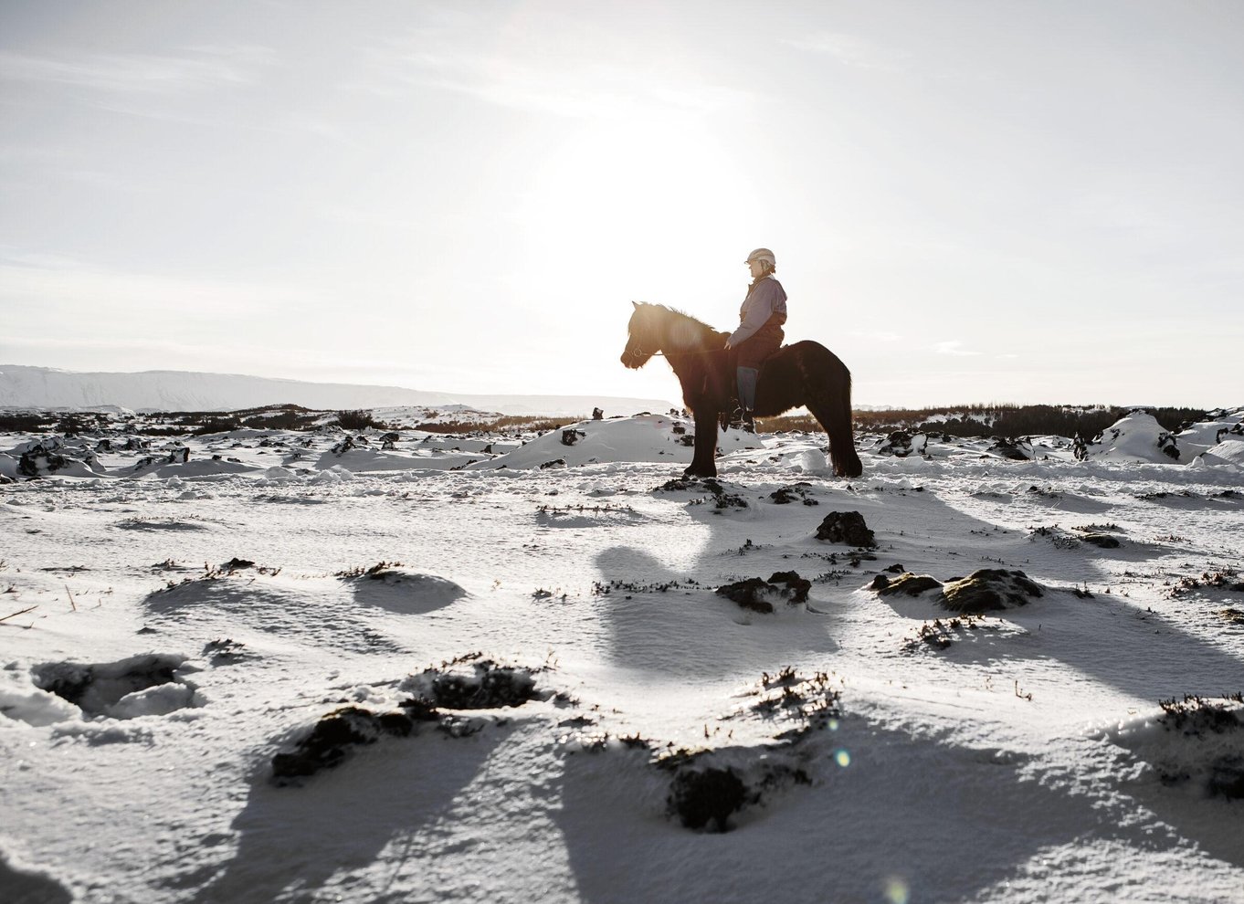 Fra Reykjavík: Islandsk ridetur i lavamarker