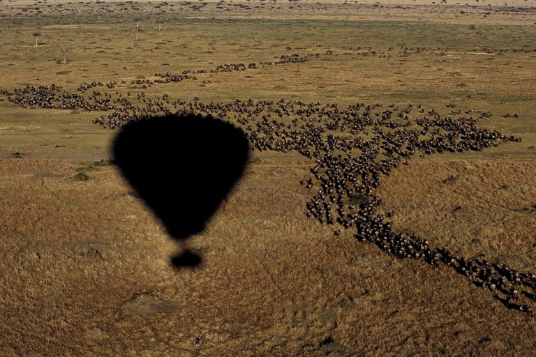 4-dniowe luksusowe safari balonem w SerengetiPrywatne safari balonem Serengeti Ngorongoro