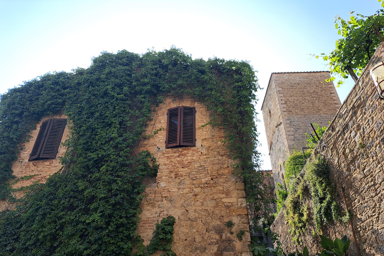 Best of Tuscany Experience Pisa, Siena, San Gimignano & Wine Standard Group Option