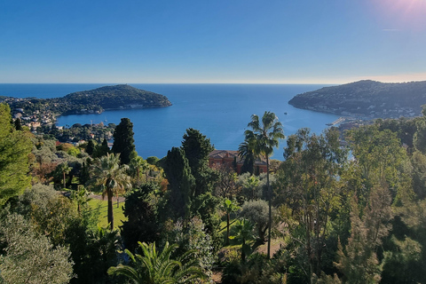From Nice: Tour of the Most Beautiful Places
