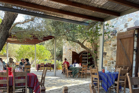 Vatolakkos: Boutique Winery Tour & 5-Wine Tasting