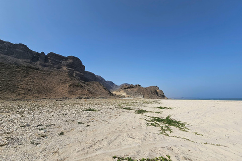 塞拉莱：乳香之路、骆驼农场和海滩之旅