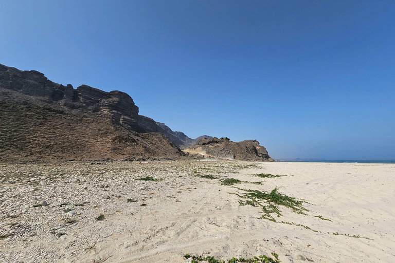 塞拉莱：乳香之路、骆驼农场和海滩之旅