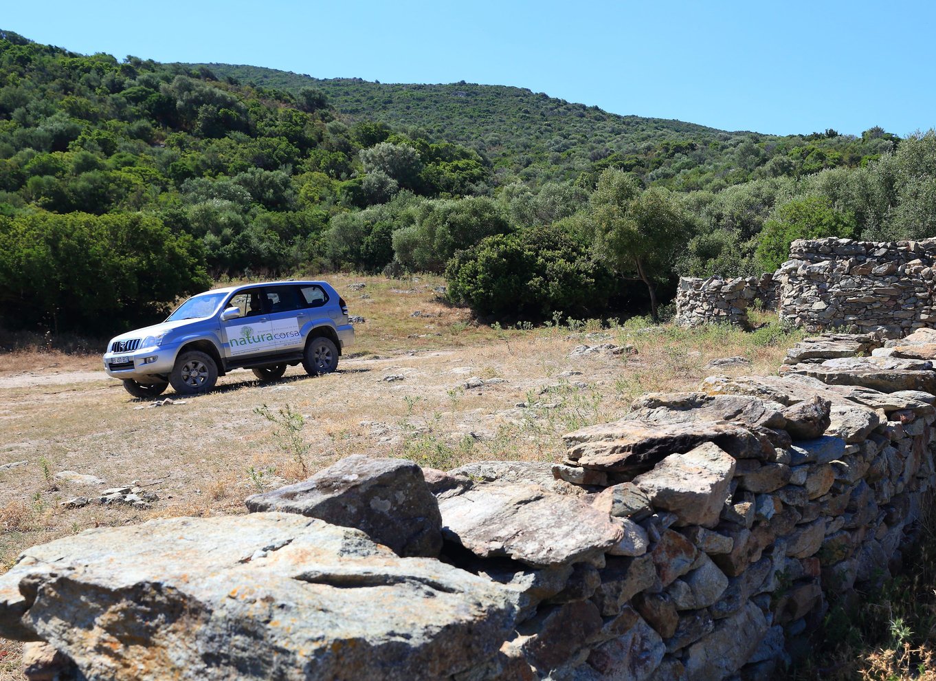 Fra Calvi: 4x4-dagstur til bjergene og Agriates' Saleccia-strand