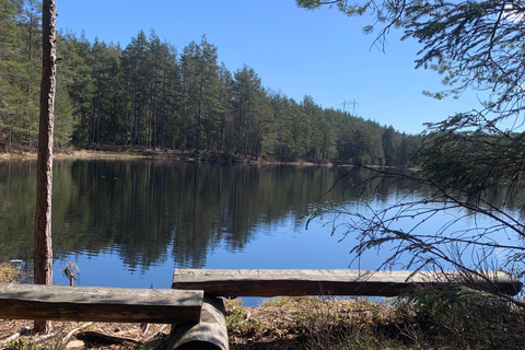 Oslo: escursione guidata nel Parco Nazionale di Østmarka con cibo cotto sul fuocoOslo: escursione guidata al Parco Nazionale di Østmarka con cibo sul fuoco