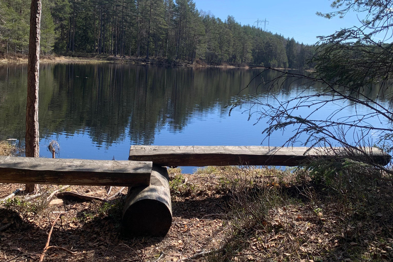 Oslo: escursione guidata nel Parco Nazionale di Østmarka con cibo cotto sul fuocoOslo: escursione guidata al Parco Nazionale di Østmarka con cibo sul fuoco