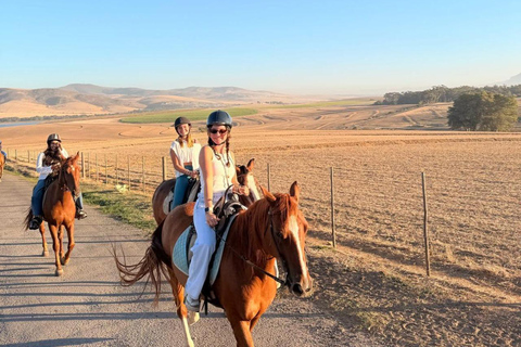 Cape Town: Mountain View Horse Trail Ride Experience 2 Hour