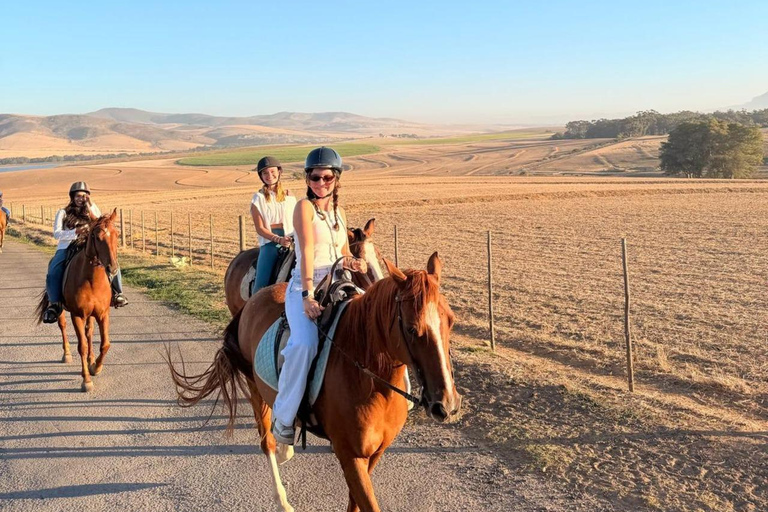 Cape Town: Mountain View Horse Trail Ride Experience 2 Hour