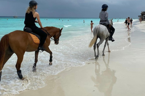 Zanzibar: Horseback Riding Experience with Hotel Transfer