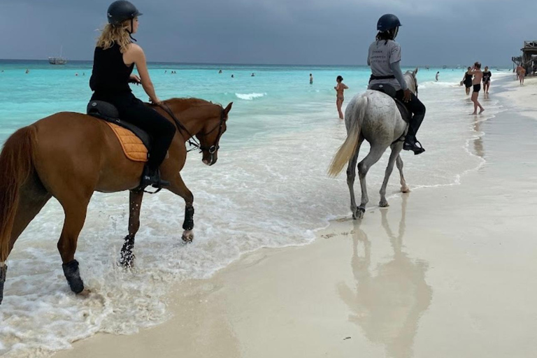 Zanzibar: Horseback Riding Experience with Hotel Transfer