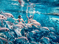 Kamiros Skala，海洋生物经验和Alimia Island - Housity