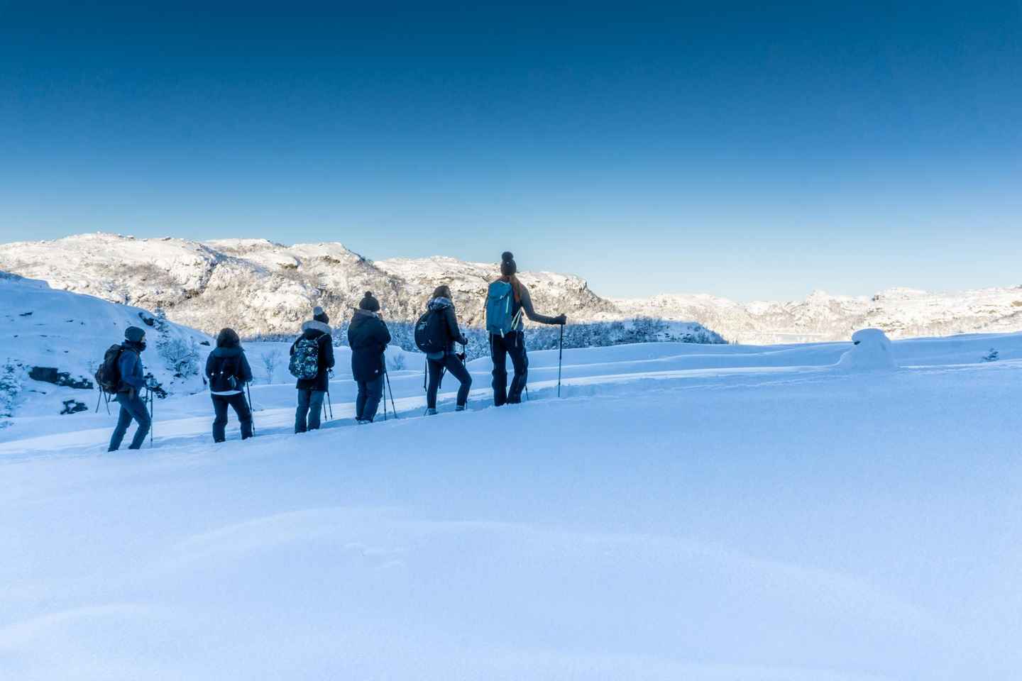 Lysefjorden cruise & Preikestolen guided hike - winter