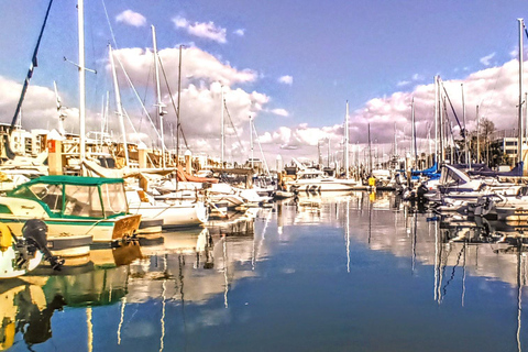 Marina Del Rey: Lyxig båttur med ost och charkuterier