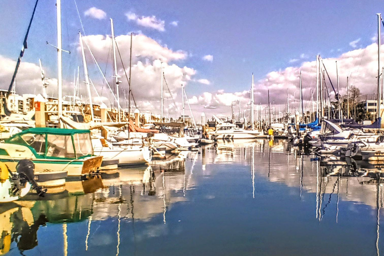 Marina Del Rey: Lyxig båttur med ost och charkuterier