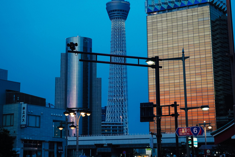 Tour privato di Tokyo in auto con autista di lingua inglese