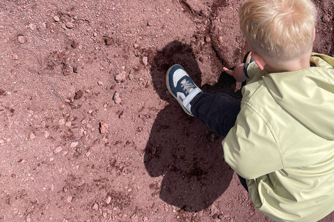 Etna Family Tour: private excursion on Etna mt. for families