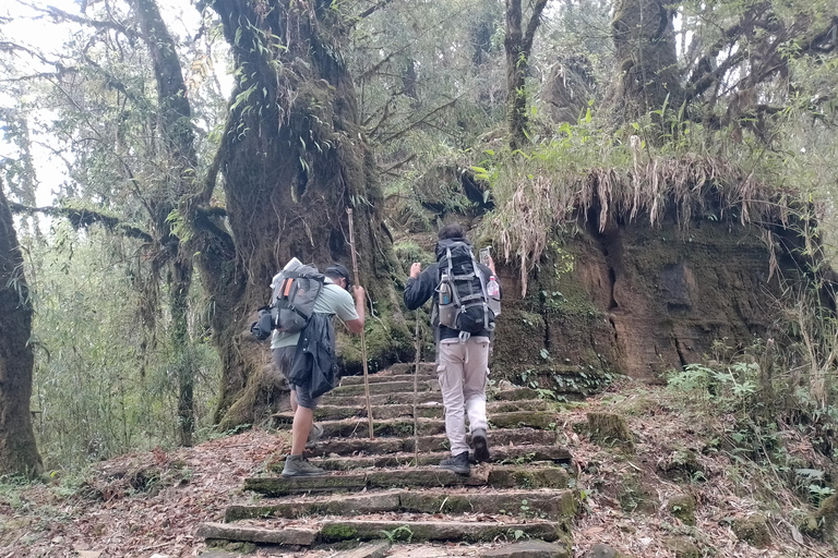 Pokhara: Mardi Himal Trek with Chitwan National Park Tour