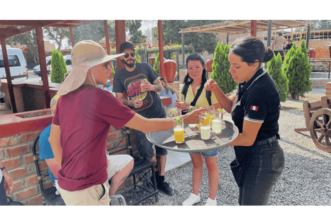 From Lima: Paracas, Ica, and Huacachina Day Tour