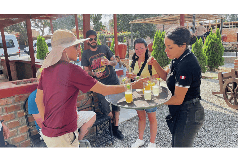 From Lima: Paracas, Ica, and Huacachina Day Tour