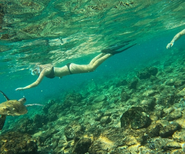 From Abu Dhabi: Snorkeling with Turtles in Fujairah with BBQ