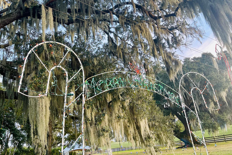 New Orleans: Christmas Bonfire Experience