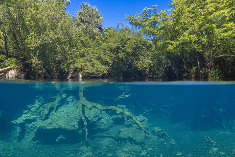 Punta Cana Cenote: Floating Sound Healing & Swim