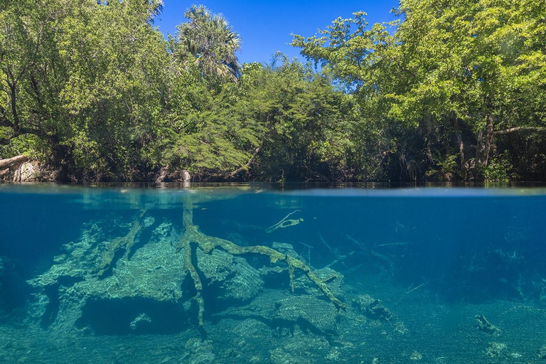 Punta Cana Cenote: Floating Sound Healing & Swim