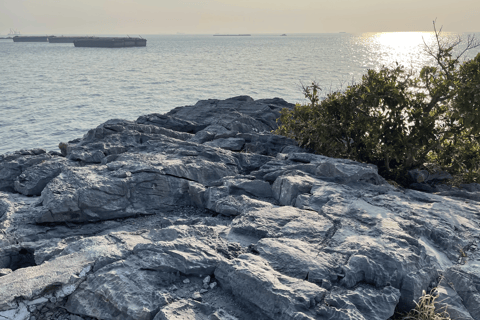 Pattaya: Koh Si Chang Highlights Day Tour with Hotel Pickup
