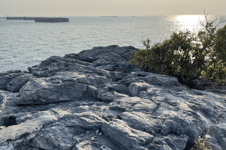 Pattaya: Koh Si Chang Highlights Day Tour with Hotel Pickup