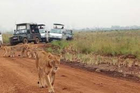 Nairobi; Excursión en vehículo por el Parque Nacional con servicio de recogida