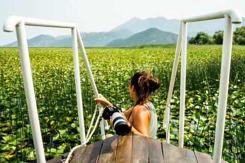 Virpazar: Guided Lake Skadar Cruise and Crnojevića River