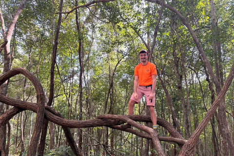 Chiang Mai: 3Days 2Night Trek in Doi Inthanon Area