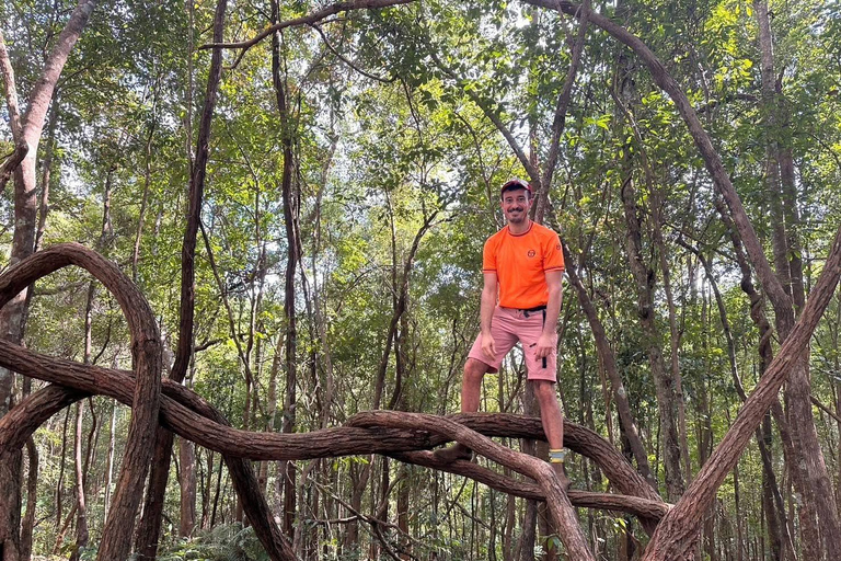 Chiang Mai: 3Days 2Night Trek in Doi Inthanon Area