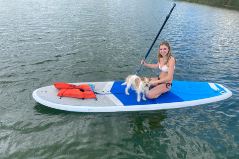 Orlando: Paddle with Pups in Paradise - Paddleboard or KayakPaddle with Pups