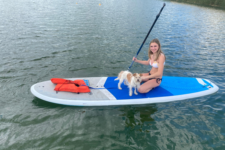 Orlando: Paddle with Pups in Paradise - Paddleboard or Kayak Paddle with Pups