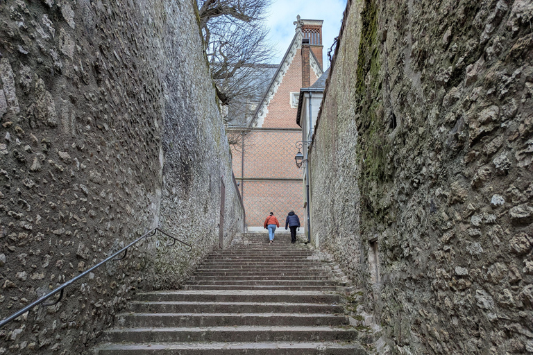 Guided tour of Blois Guided tour of Blois in English