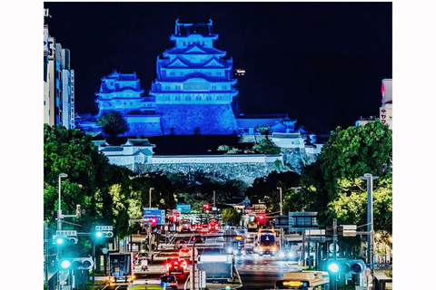 Kyoto osaka dagtrip met Engels sprekend persoon en Nara