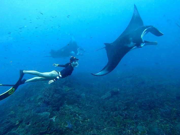 Nusa Penida : Excursión guiada de snorkel con mantarrayas