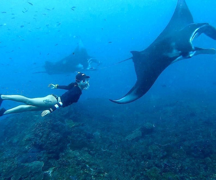 Nusa Penida : Guided Snorkeling Trip With Manta Rays