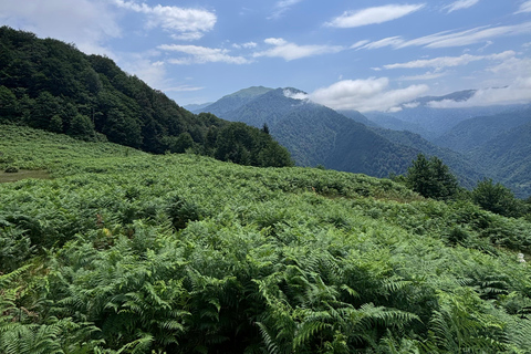 Dagvullende tours in de bergen vanuit Batumi