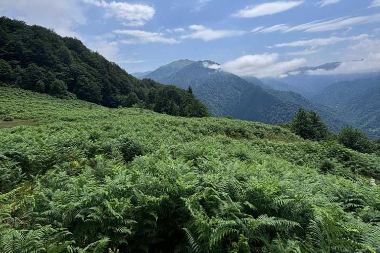 Dagvullende tours in de bergen vanuit Batumi