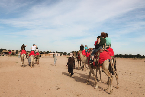 Hurghada: Camel Ride & horse ride and Off-Road Jeep Tour pickup from hotels inside hurghada
