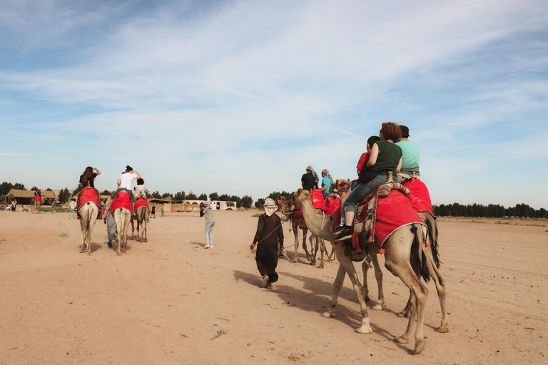 Hurghada: Camel Ride & horse ride and Off-Road Jeep Tour pickup from hotels inside hurghada