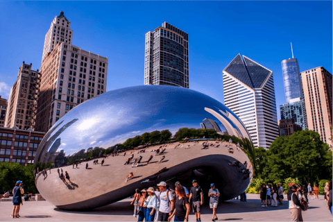 Chicago: Millennium Park Guided Tour with 360 CHICAGO Ticket