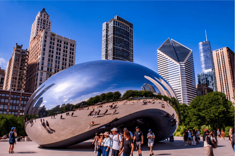 Chicago: Millennium Park Guided Tour with 360 CHICAGO Ticket